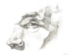 Click to view enlargement
