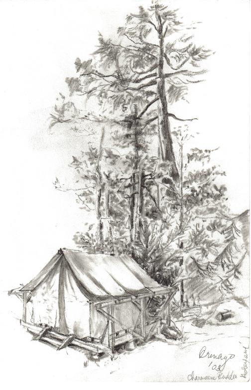 Return to Portfolio Page